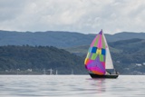 oystercatcher 3245c whyw19 tue gjmc 4368